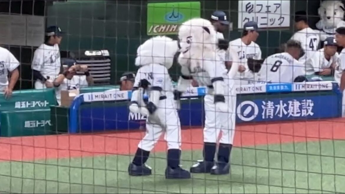 【ベンチはガン無視】レオ&ライナ 鬼のエアノックと手押し相撲【ファーム 西武vsヤクルト】2024/9/24 【ベンチはガン無視】レオ&ライナ 鬼のエアノックと手押し相撲【ファーム 西武vsヤクルト】2024/9/24