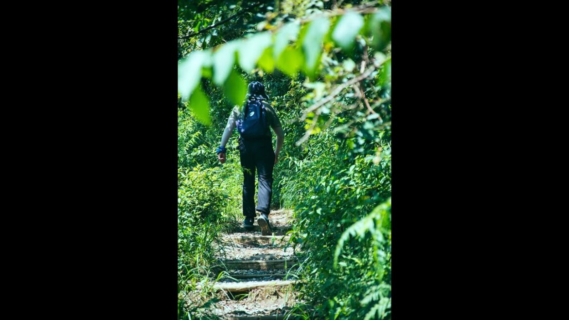 Most Powerful Slingshot in Asia sold at DANKUNG.COM