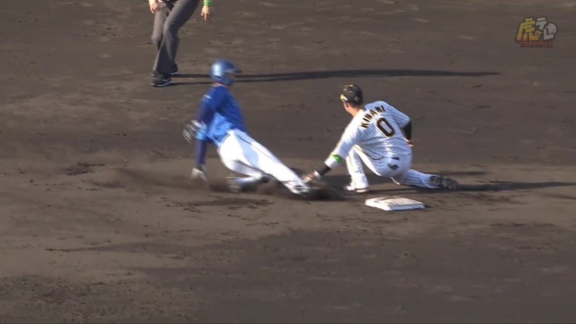 【バズーカ】4回表、#梅野隆太郎 選手が梶原選手の盗塁を強肩で阻止！ピンチの目を摘む！【2024/10/12Ｔ－ＤＢ】