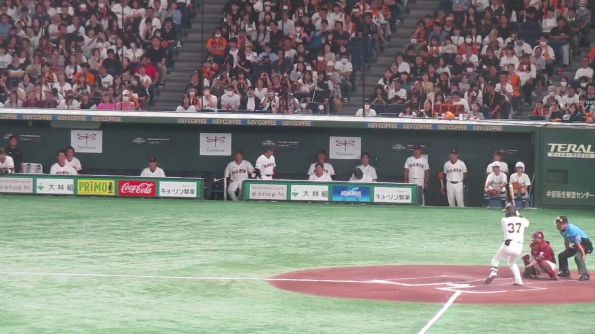 【巨人ベンチ】郡拓也フォアボールで喜ぶ選手たち（読売ジャイアンツ 対 楽天ゴールデンイーグルス 2024年9月22日）