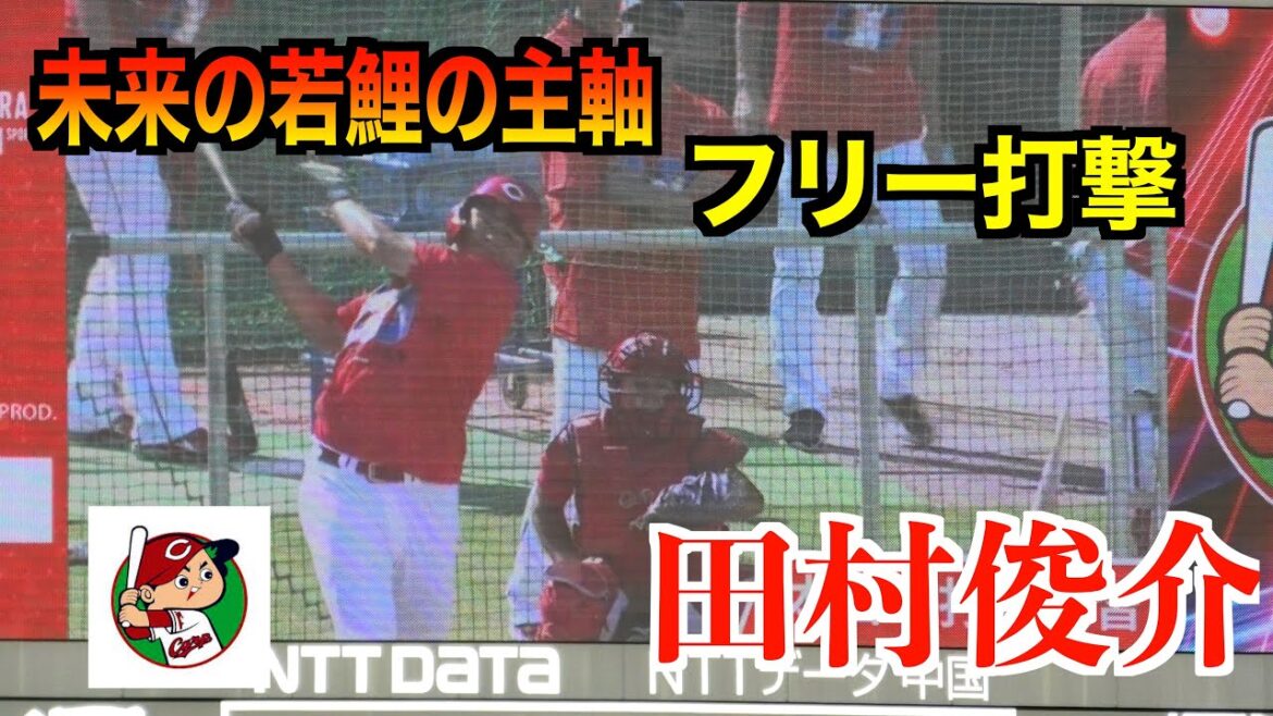 【未来の主軸】二俣翔一／田村俊介／内田湘大／仲田侑仁　フリー打撃！【広島vsヤクルト２０２４／１０／５】