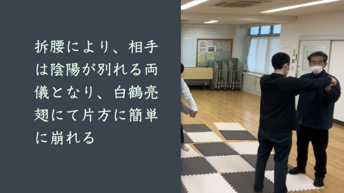 楊式太極拳の用法011A/楊無敵の実戦用法・鍛えず思い出すだけの・究極の護身術 楊式太極拳の用法011A/楊無敵の実戦用法・鍛えず思い出すだけの・究極の護身術