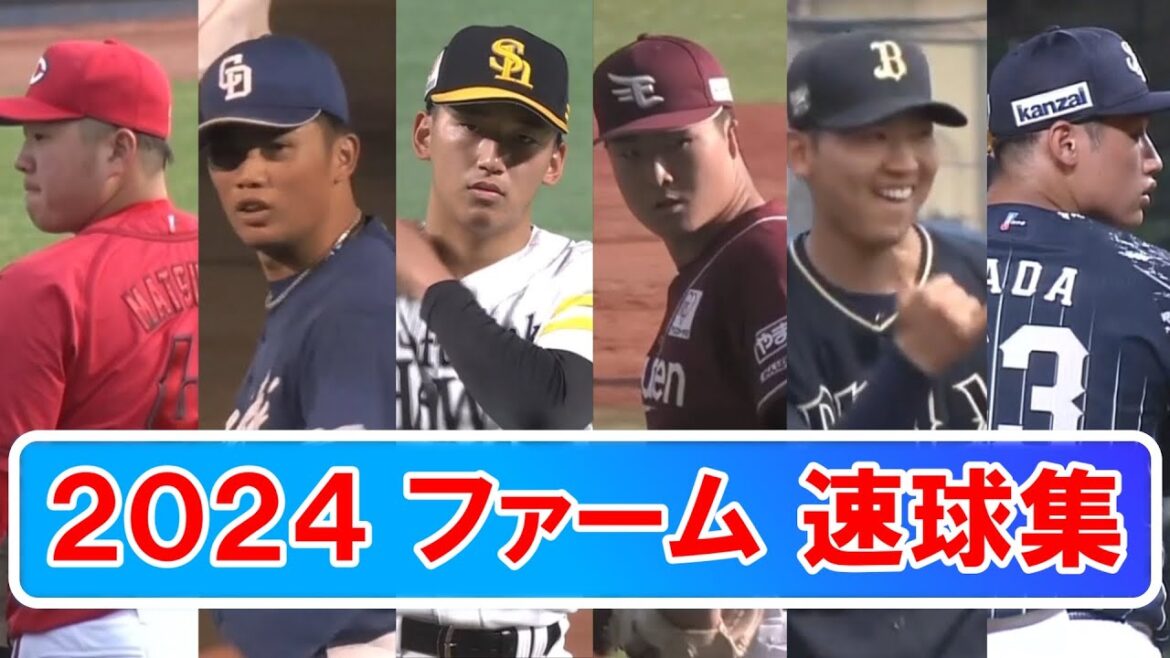 【2024】プロ野球ファーム 速球集