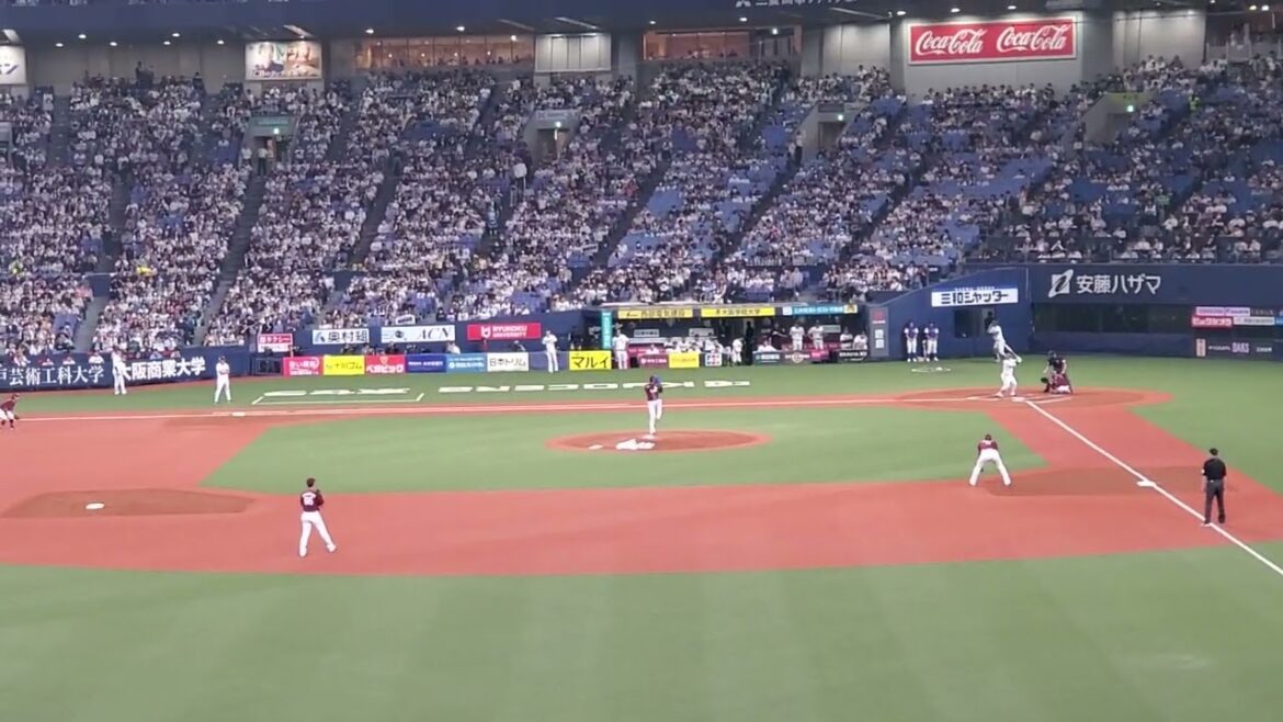 20240519　動き回る元気♪【西野真弘 応援歌【2回ｳﾗ　ｵﾘｯｸｽ･ﾊﾞﾌｧﾛｰｽﾞ@京ｾﾗﾄﾞｰﾑ大阪･ﾚﾌﾄ外野下段