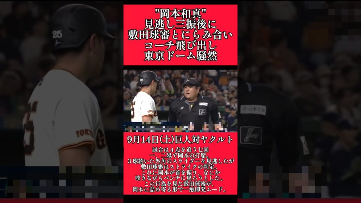 【巨人】"岡本和真"に冷静さを失った敷田球審が詰め寄る！最後に退場のフェイント！ #巨人 #読売ジャイアンツ #岡本和真 #敷田球審  #shorts