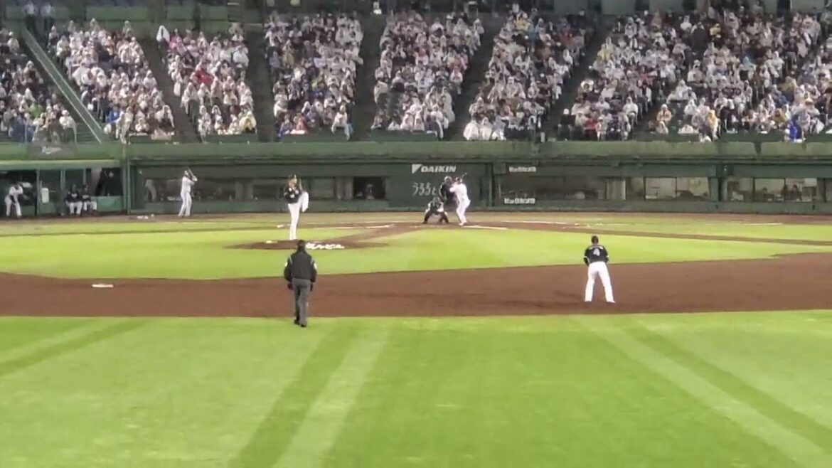 20240501 星となれ♪ 【太田椋 応援歌】7回ウラ オリックス・バファローズ@ほっともっとフィールド神戸・レフト外野 20240501 星となれ♪ 【太田椋 応援歌】7回ウラ オリックス・バファローズ@ほっともっとフィールド神戸・レフト外野