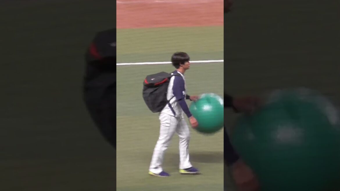 長谷川 宙輝 投手　バランスボールで巧にドリブル　サラサラヘアー　#東京ヤクルトスワローズ #shorts