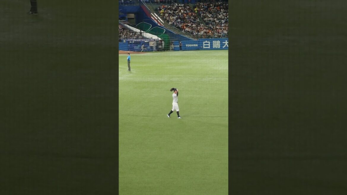 8/28 マスオー‼️サイスニード！‼️