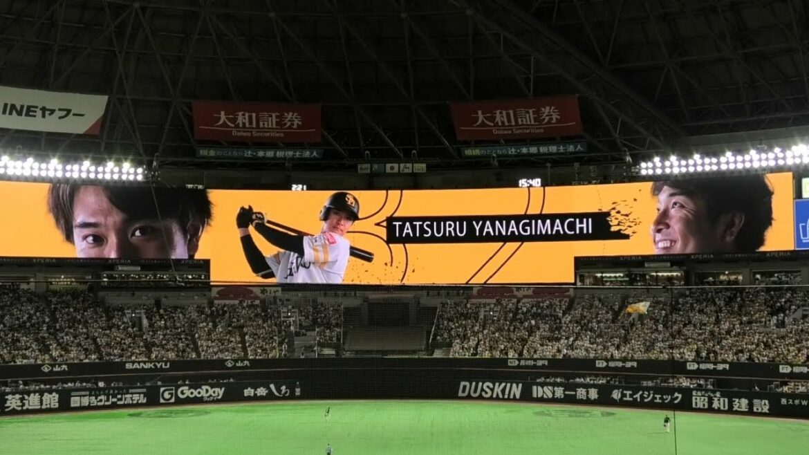 ソフトバンク 柳町達 登場曲～花唄／GReeeeN 2024.8.17