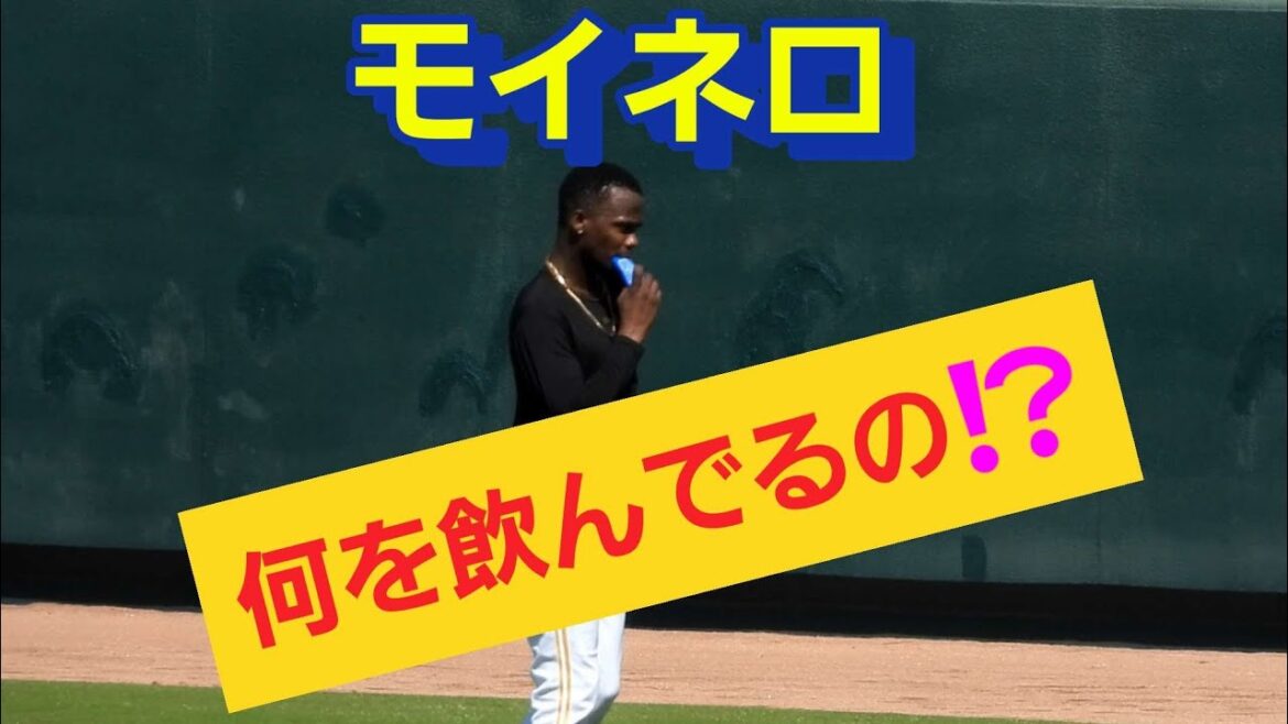 【モイネロ❗】何を飲んでるの⁉️2024年10月6日#モイネロ