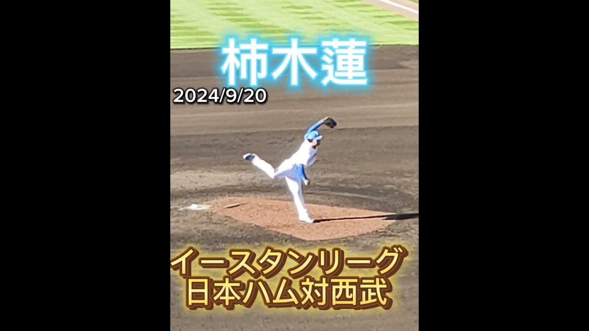 【FIGHTERS】 #柿木蓮 137のピッチングフォーム #shorts #日本ハム #ファイターズ #プロ野球