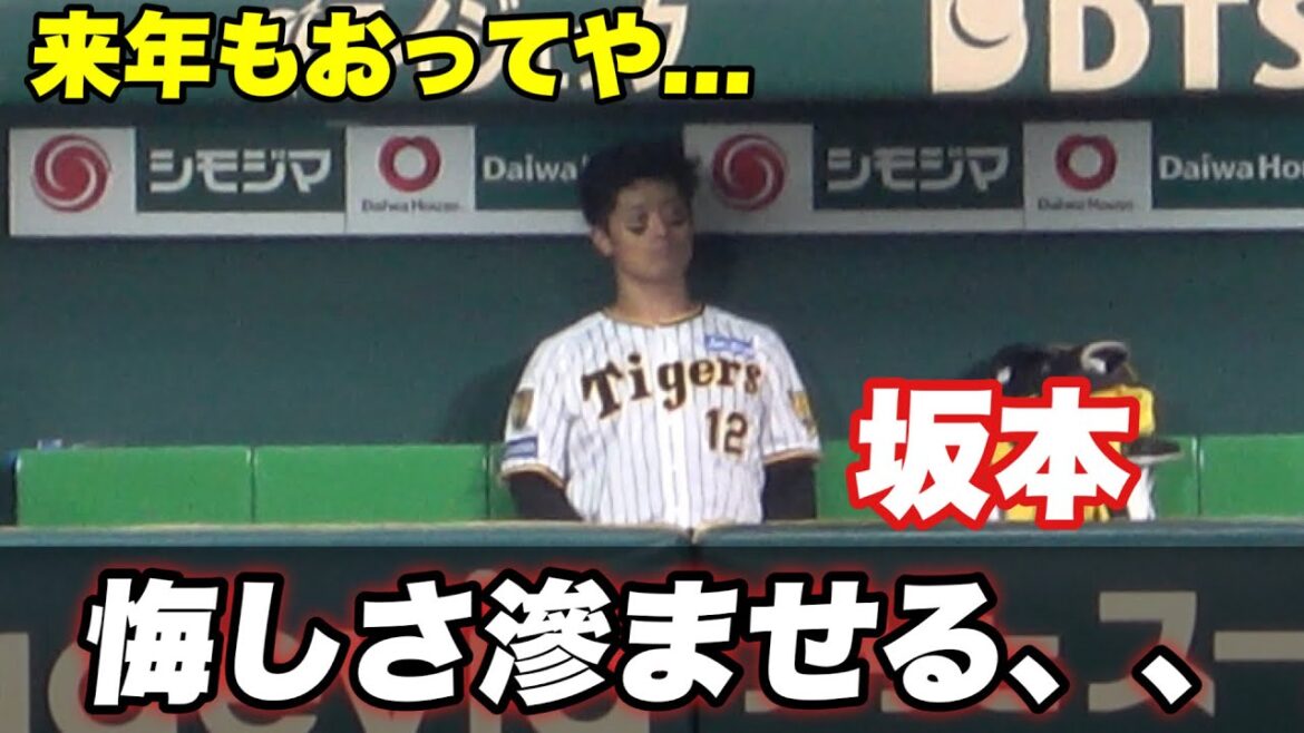 【最後までベンチにいる坂本。。この悔しさを来年の活力として頑張ってほしい！！応援してます】阪神対横浜