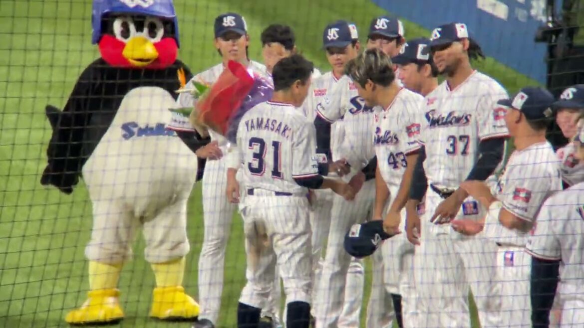 山崎晃大朗 花束💐贈呈式あとにスワローズの皆とハイタッチ 東京ヤクルトスワローズ プロ野球 2024.10/3