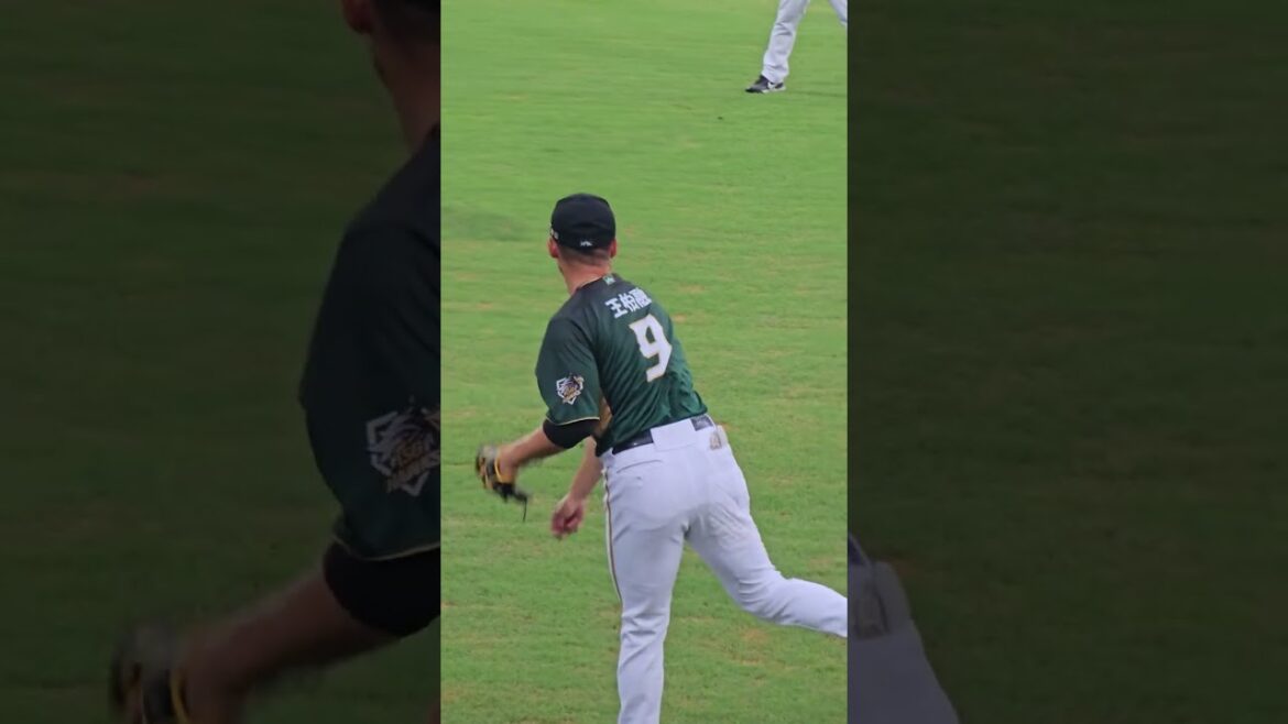 【2024 CPBL】06/25 王柏融 賽前熱身 | HAWKS #9 WANG Po Jung | 台鋼雄鷹 vs 富邦悍將