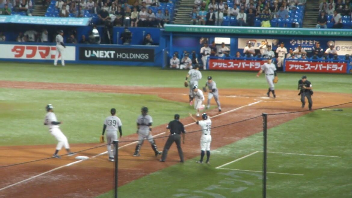 ヤクルト 西川遥輝 三本間に挟まれタッチアウト　ヤクルト vs 巨人　2024年9月29日(日) 神宮球場