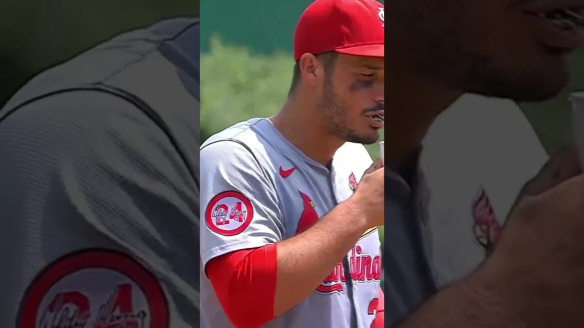 me sneaking candy into the movie theater