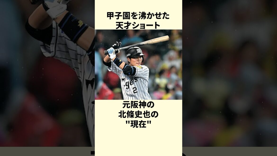 【甲子園スター】ドラフト2位の逸材｜北條史也の今…【阪神タイガース】 #shorts #野球 #プロ野球