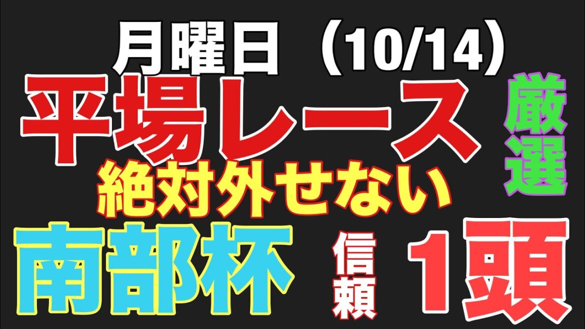 【平場戦】厳選レース 鉄板馬 ここに標準 #競馬 #race #的中 #勝負
