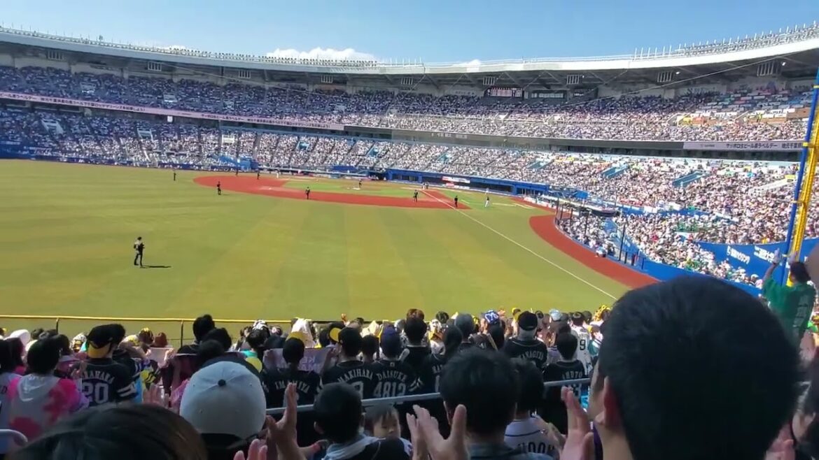 20240525　ｾﾝｽを見せつける【今宮健太 応援歌】4回表　福岡ｿﾌﾄﾊﾞﾝｸﾎｰｸｽ@ZOZOﾏﾘﾝｽﾀｼﾞｱﾑ･外野ﾚﾌﾄ