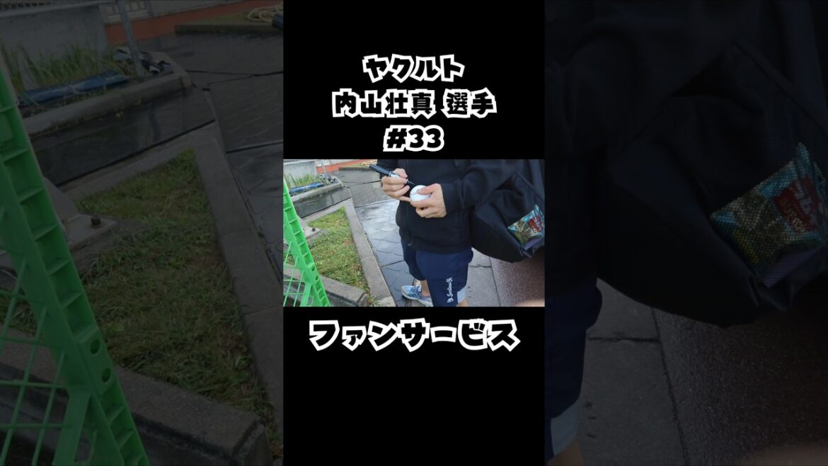 ヤクルト 内山壮真 選手のファンサービス✨ #shorts #野球 #プロ野球 #swallows #サインボール #ファンサービス #神対応