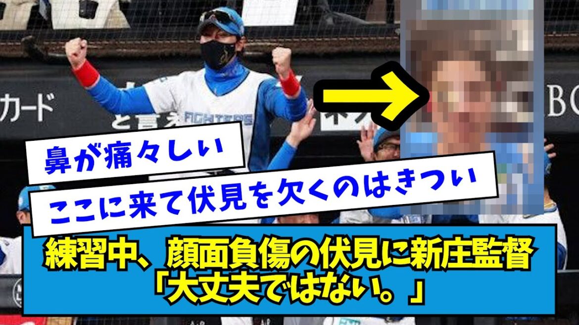 【本人もコメント】練習中、顔面負傷の伏見に新庄監督「大丈夫ではない。」【なんJ反応】 【本人もコメント】練習中、顔面負傷の伏見に新庄監督「大丈夫ではない。」【なんJ反応】