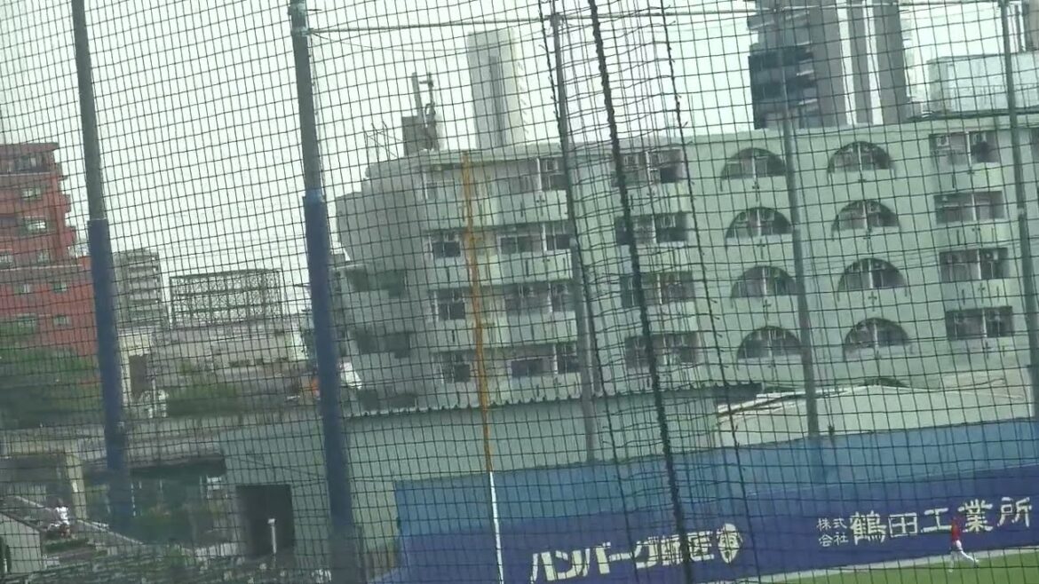 【大きなファールに歓声が】中日ドラゴンズ ビシエド選手 ショートへの内野安打 第1打席 VS 広島東洋カープ 遠藤淳志投手 2024/9/24 ナゴヤ球場