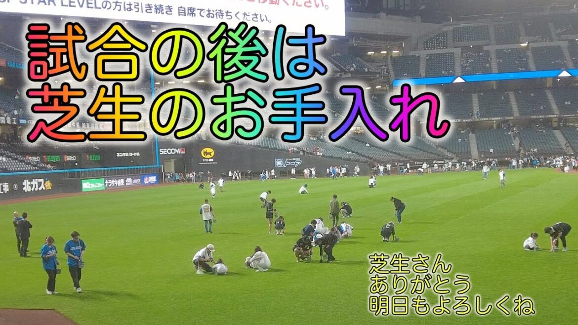 エスコンフィールド北海道・C S初戦！負けちまった……けど、エスコンC Sを堪能