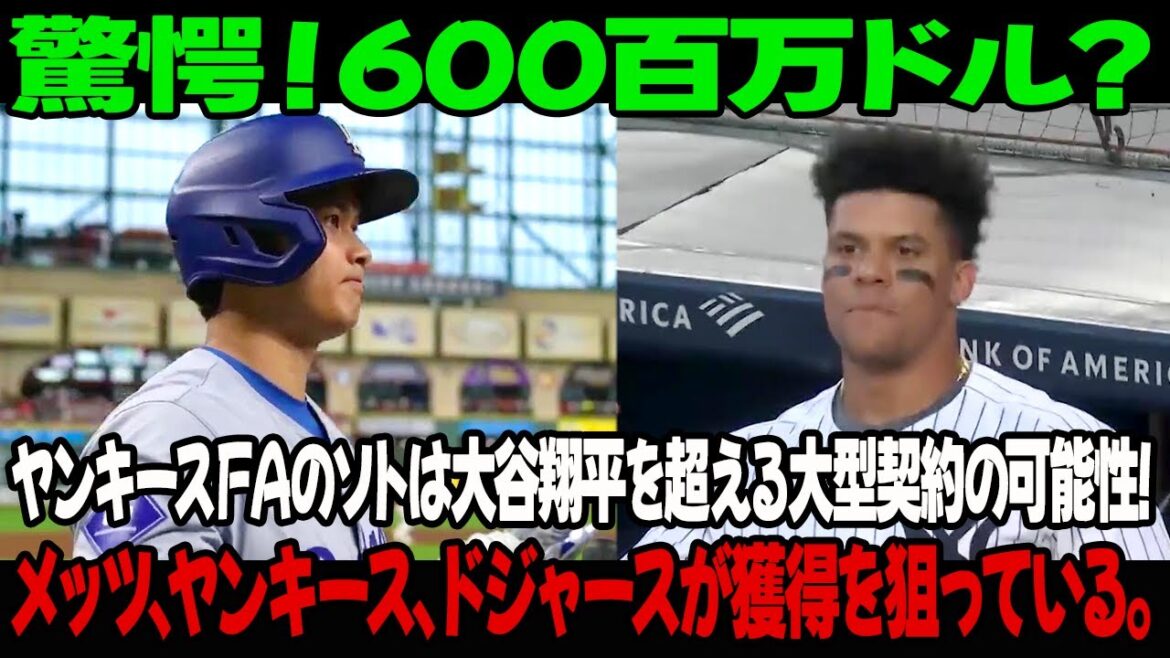 驚愕！600百万ドル？ヤンキースＦＡのソトは大谷翔平を超える大型契約の可能性 !メッツ、ヤンキース、ドジャースが獲得を狙っている。
