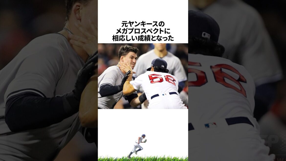 【プロ野球】怪我さえしなければNPB最強打者タイラー・オースティンに関する雑学・エピソード