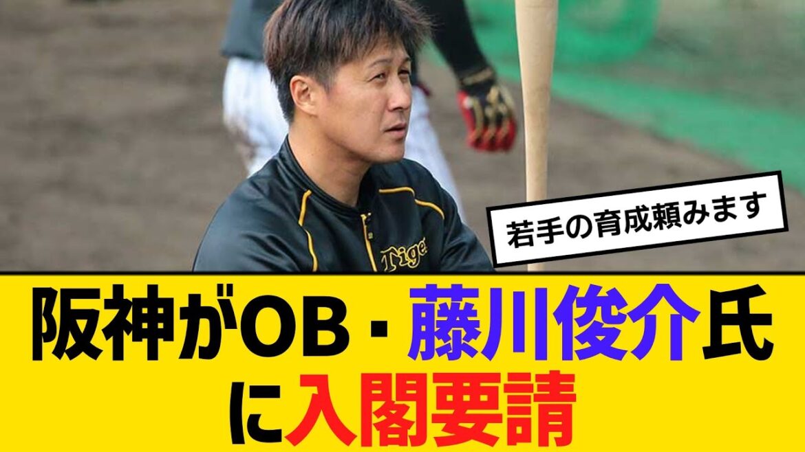 阪神がOB・藤川俊介氏に入閣要請!育成部門の強化、指導に期待 【ネットの反応】【反応集】 阪神がOB・藤川俊介氏に入閣要請!育成部門の強化、指導に期待 【ネットの反応】【反応集】