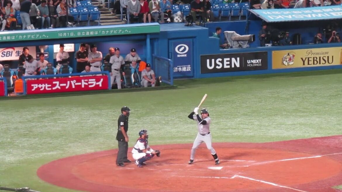 モンテスの打撃を見てる坂本勇人や大城卓三など＜ ヤクルトスワローズ 対 読売ジャイアンツ 2024年9月29日＞