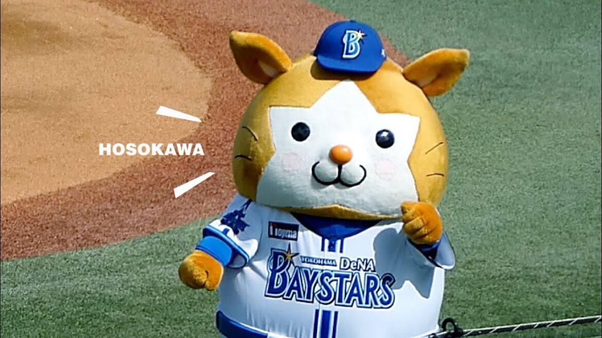 【ほっこり】細川くんを応援するDB.スターマン🐹 【横浜DeNAベイスターズ 2024/9/14】