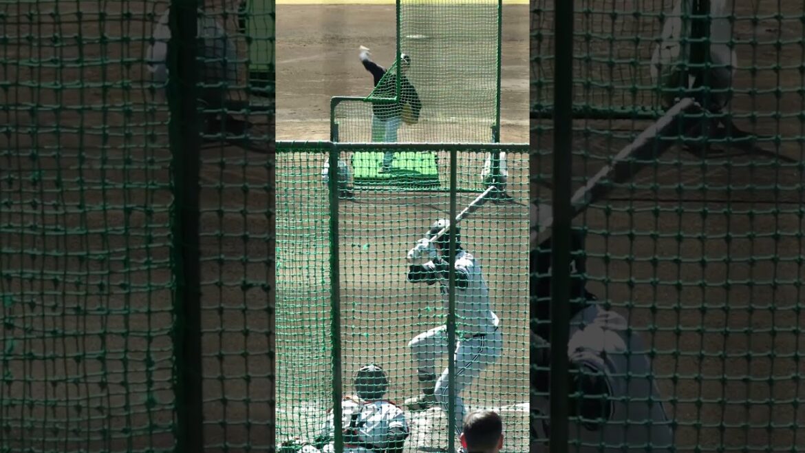 【巨人】現役さながらの動き？桑田真澄監督2024年ハイライト　#shorts #baseball #sports #ジャイアンツ #巨人 #プロ野球