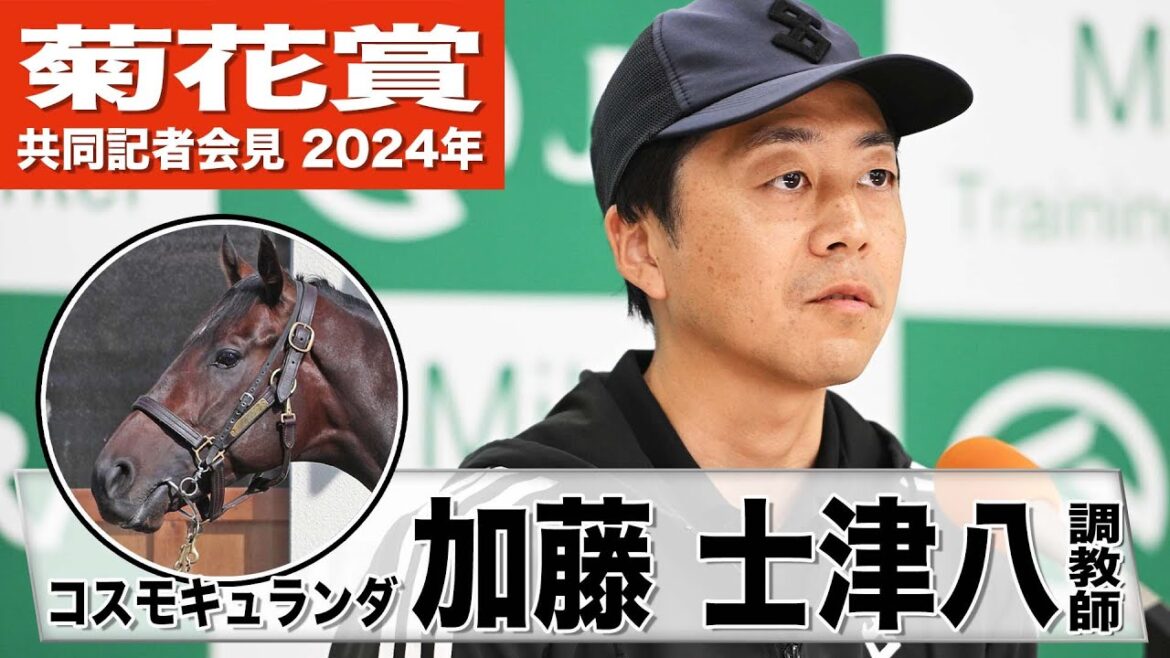 【菊花賞2024】コスモキュランダ・加藤士津八調教師「この舞台はすごく合っている」「前走時より調子が上がってきている」《JRA共同会見》 【菊花賞2024】コスモキュランダ・加藤士津八調教師「この舞台はすごく合っている」「前走時より調子が上がってきている」《JRA共同会見》