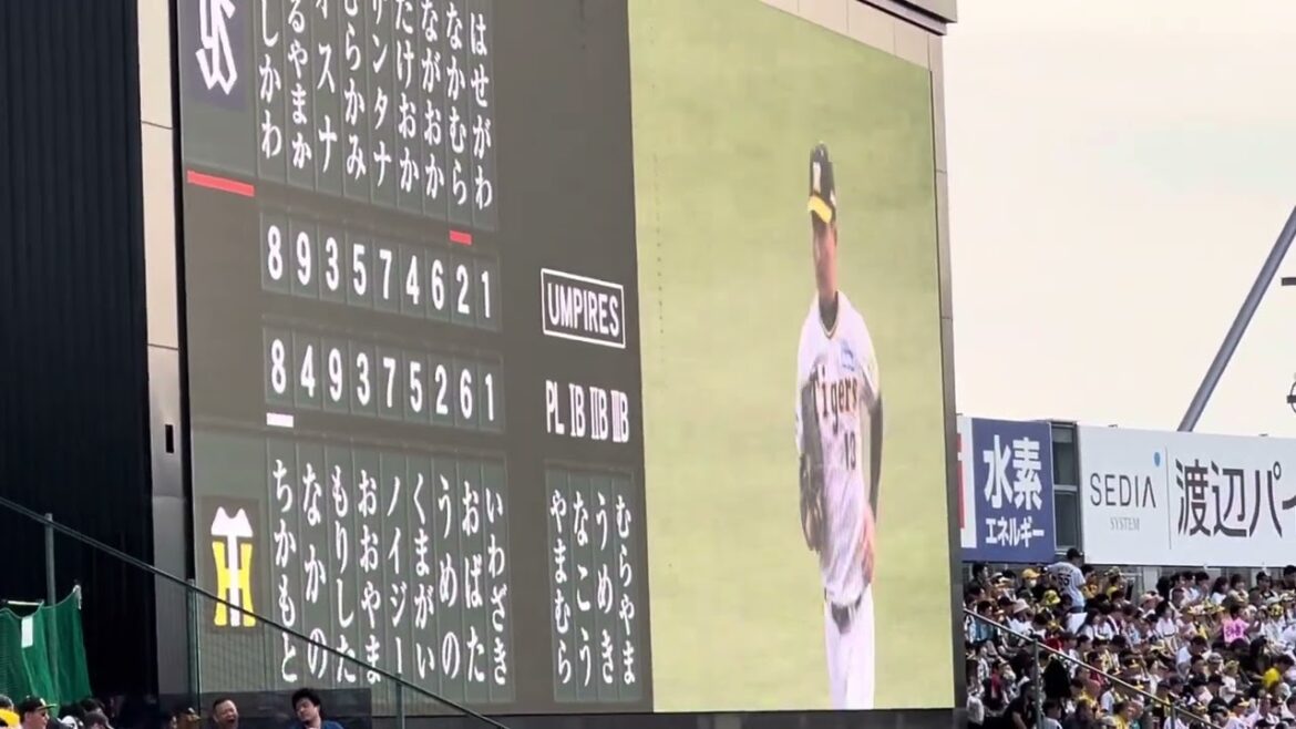 【習い事あり】#阪神 #岩崎優 選手 登場曲 ✨ RAIJIN『雷神』 (#清水エスパルス 公式選手入場曲)  24.4.28.  #阪神甲子園球場