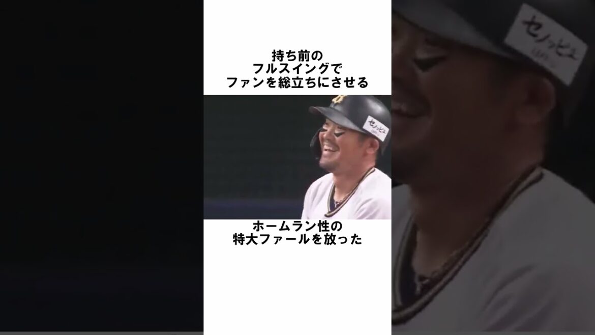 『T-岡田の引退試合』に関する雑学　#野球解説　#雑学　#T-岡田　 　#shorts　#オリックスバファローズ 　#杉本裕太郎