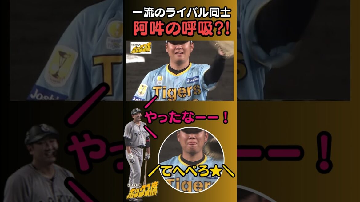 【永遠のライバル】投手・西勇輝 vs 打者・菅野智之 二人にしかわからない世界（2024年9月1日 阪神－巨人）#サンテレビボックス席