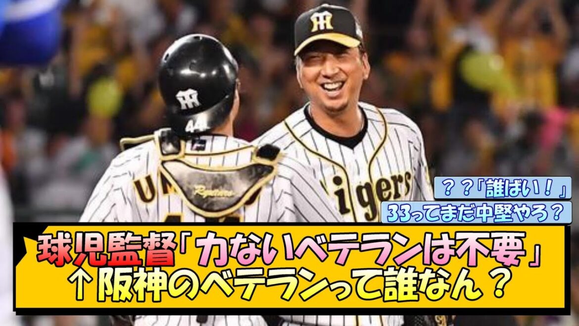 球児監督「力ないベテランは不要」←阪神のベテランって誰なん？【なんJ/2ch/5ch/ネット 反応 まとめ/阪神タイガース/岡田監督】