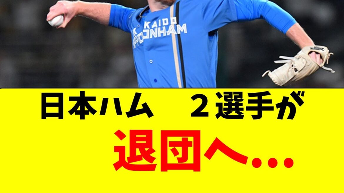 【日ハム】1軍で活躍した２選手が退団へ・・・