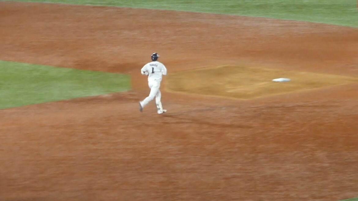 ヤクルト 山田哲人 ホームラン 10本 2024年 神宮球場 東京ドーム ヤクルト 山田哲人 ホームラン 10本 2024年 神宮球場 東京ドーム