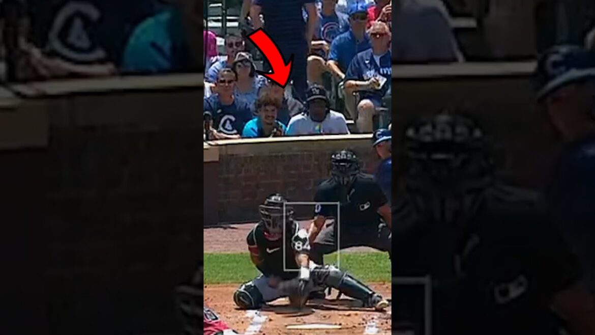 Are $2,400 seats worth it? 🤔 #mlb