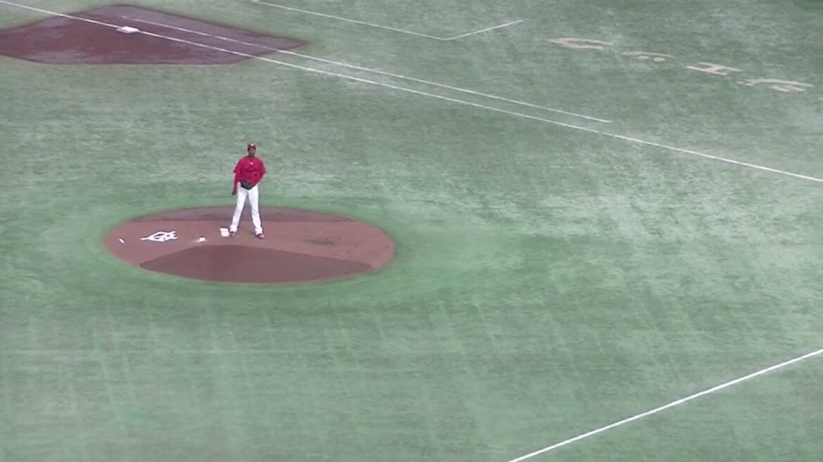 アドゥワ誠 ジャイアンツ丸佳浩を三振【読売ジャイアンツ対 広島東洋カープ  2024年8月22日】