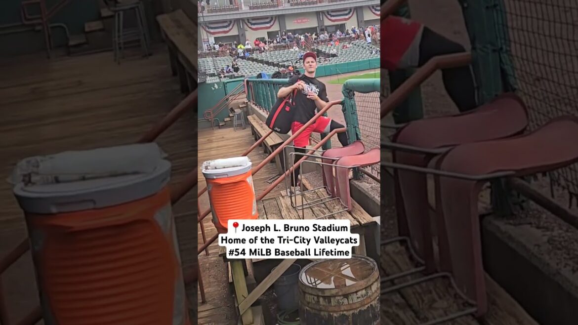 Ballhawking at Joe Bruno Stadium, Home of the Tri-City Valleycats!