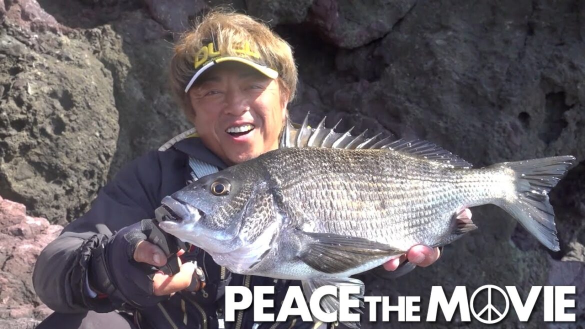 PEACE THE MOVIE #125「グレ・チヌ入り交じり、春の野原!」近畿地方・京都府野原の旅(後編) /平和卓也 PEACE THE MOVIE #125「グレ・チヌ入り交じり、春の野原!」近畿地方・京都府野原の旅(後編) /平和卓也