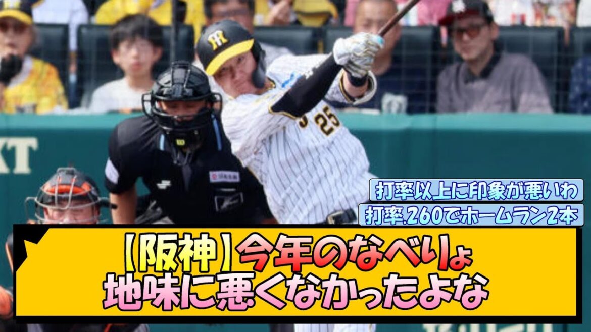 【阪神】今年のなべりょ 地味に悪くなかったよな【なんJ/2ch/5ch/ネット 反応 まとめ/阪神タイガース/岡田監督/渡邉諒】