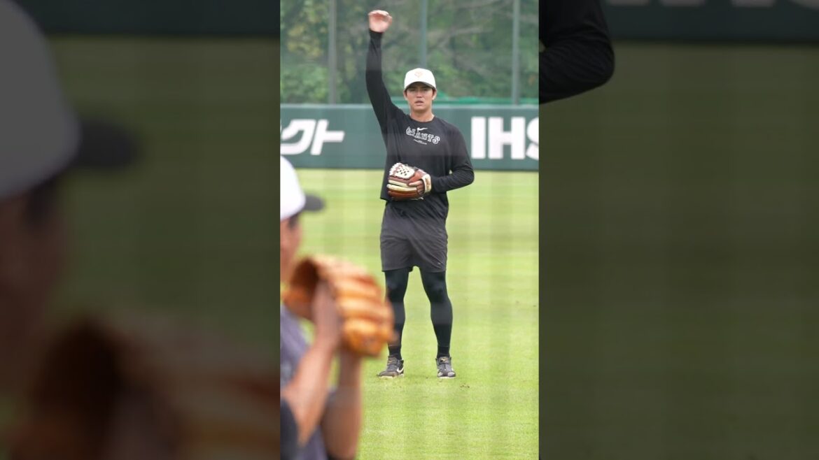 【巨人】高橋礼&畠世周選手のキャッチボール #shorts #baseball #sports #ジャイアンツ #巨人 #プロ野球 【巨人】高橋礼&畠世周選手のキャッチボール #shorts #baseball #sports #ジャイアンツ #巨人 #プロ野球