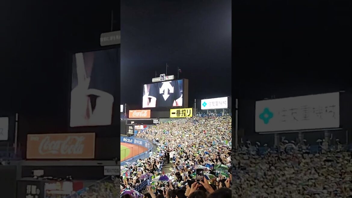 8/28 サイスニード😆‼️タイムリー2Bの東京音頭