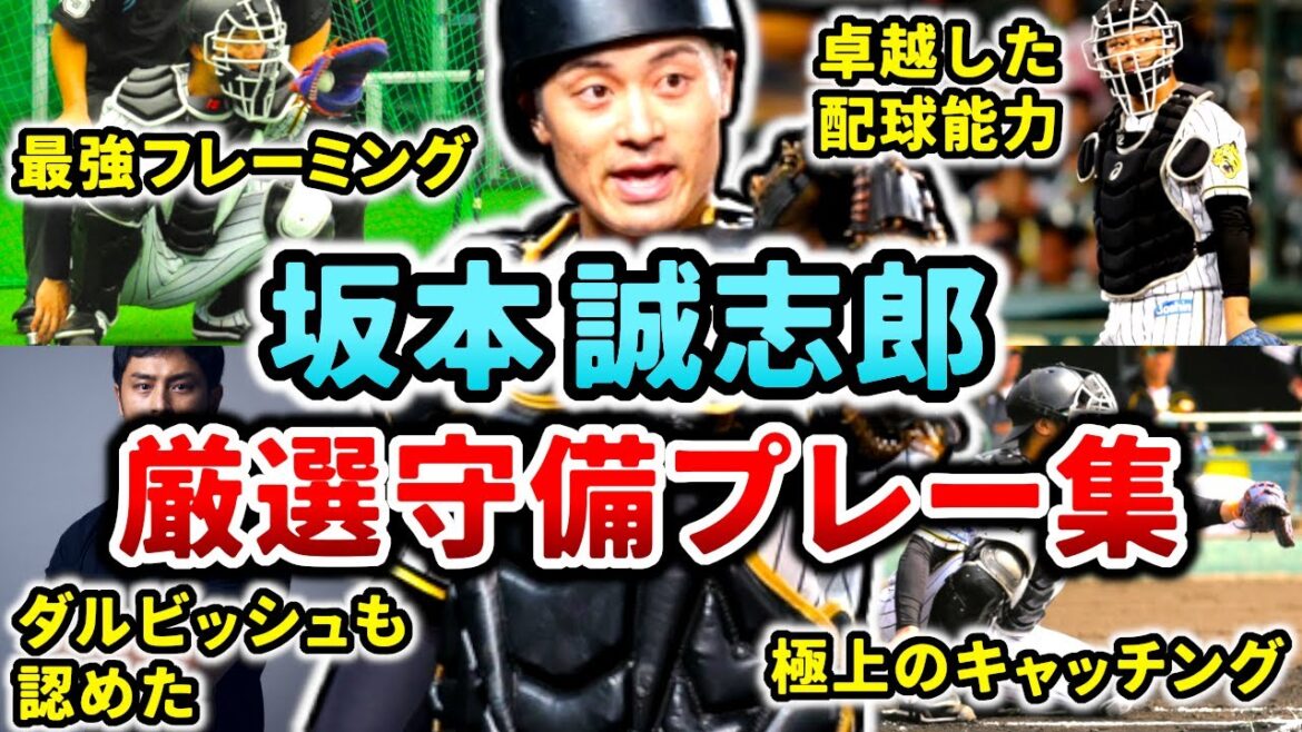 【虎の頭脳】坂本誠志郎 厳選守備プレー集!! (Seishiro Sakamoto) 【虎の頭脳】坂本誠志郎 厳選守備プレー集!! (Seishiro Sakamoto)