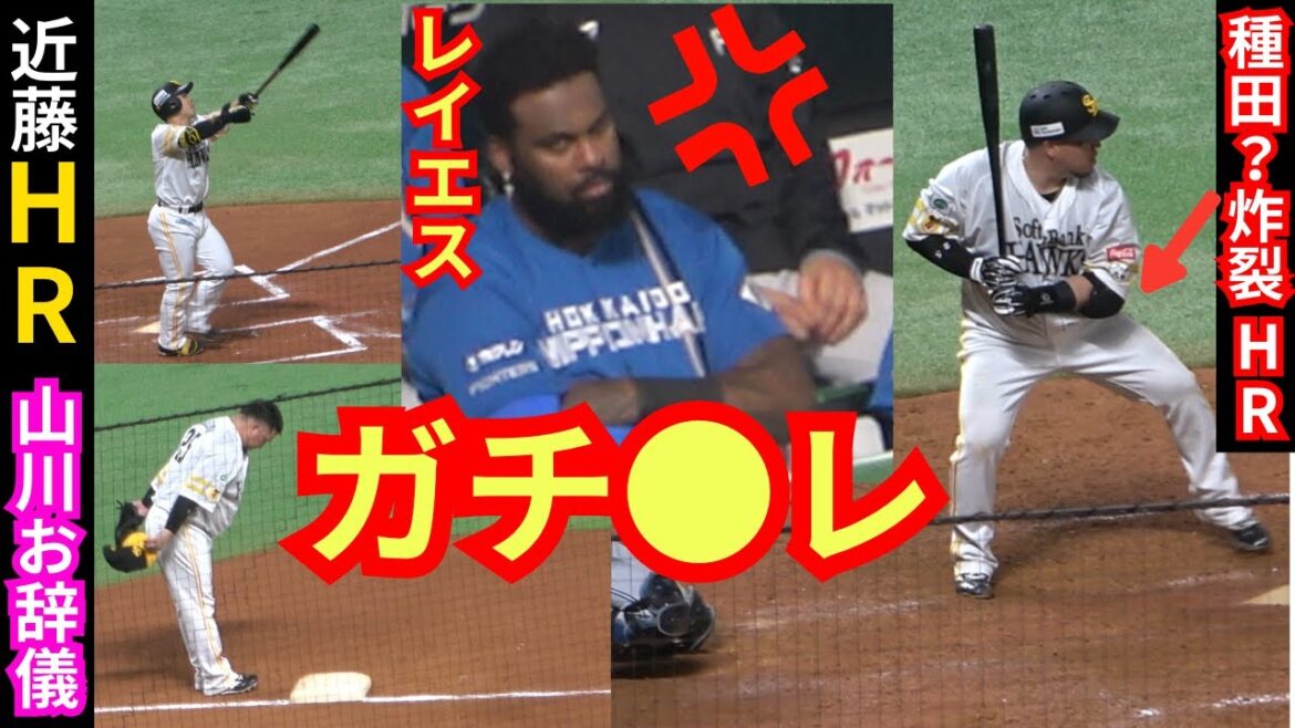近藤健介&山川穂高の種田ホームランでレイエスガチギレ！新庄監督ら意気消沈【CSクライマックスシリーズ2024福岡ソフトバンクホークスvs日本ハムファイターズ】