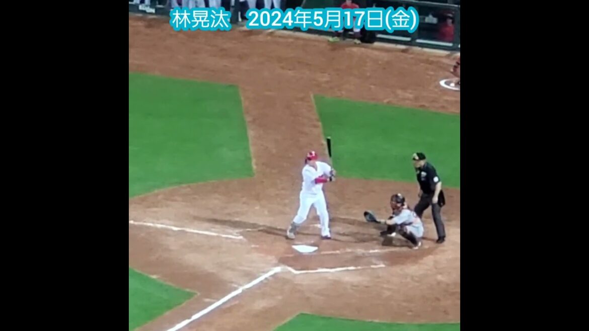 20240517　#林晃汰　#打撃フォーム　#shorts@MAZDA Zoom-Zoom ｽﾀｼﾞｱﾑ広島･ﾋﾞｼﾞﾀｰﾊﾟﾌｫｰﾏﾝｽ